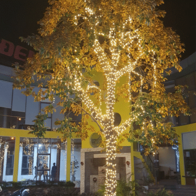 Thi công đèn led dây ngoài trời