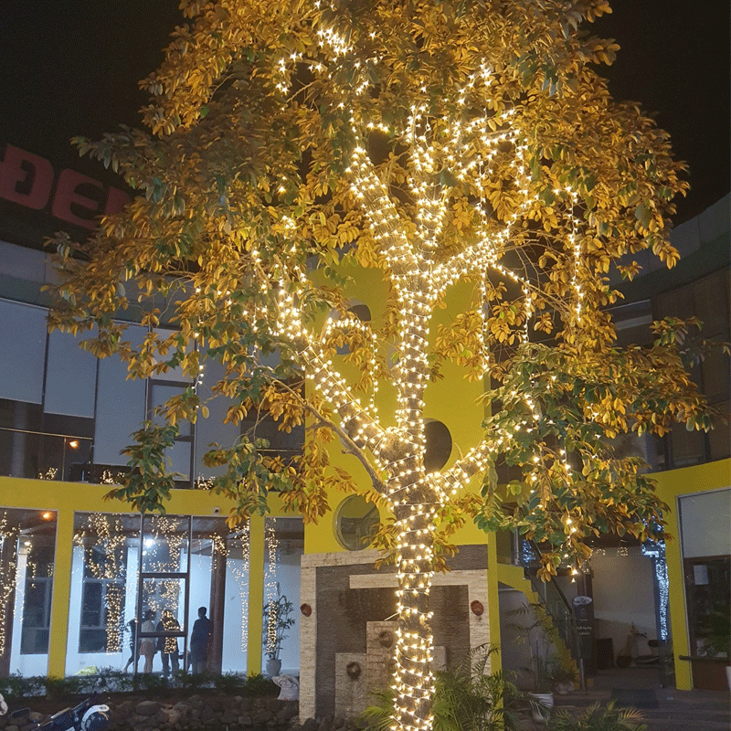 Thi công đèn led dây ngoài trời